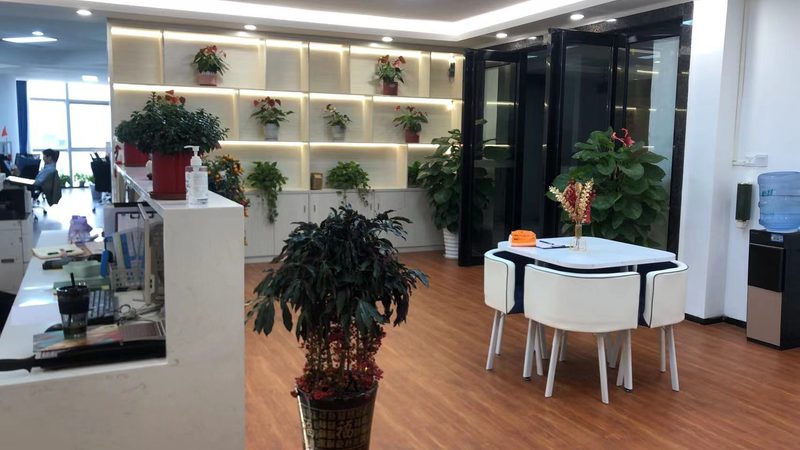 IPO财务顾问公司排名背后的考量因素