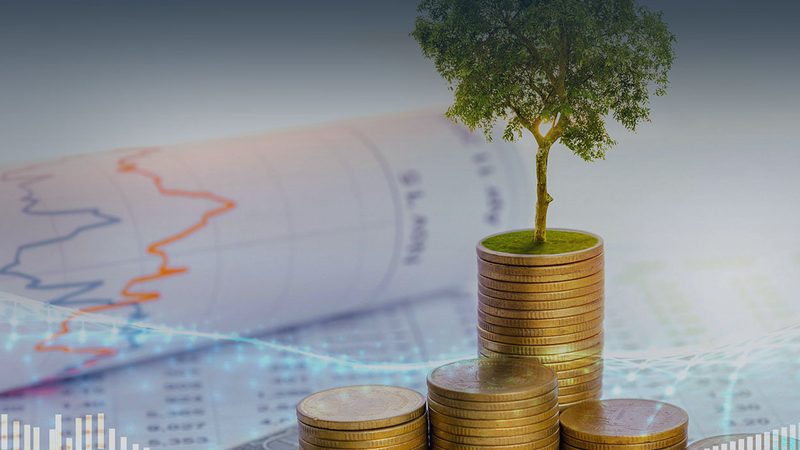 制造业上市辅导对接流程：关键步骤与注意事项